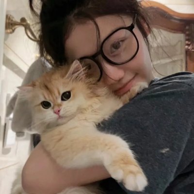 于洛先生的假期